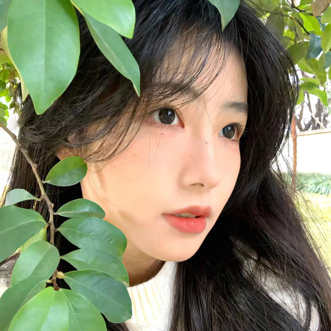 守边人 在线观看封面